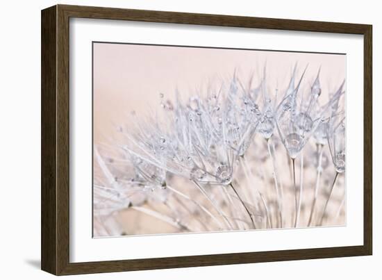 Dandelion Dew II-Cora Niele-Framed Photographic Print