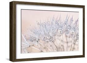 Dandelion Dew II-Cora Niele-Framed Photographic Print