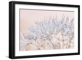 Dandelion Dew II-Cora Niele-Framed Photographic Print
