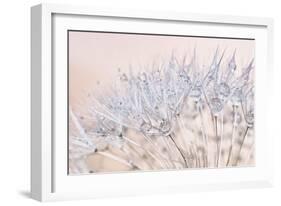 Dandelion Dew II-Cora Niele-Framed Photographic Print