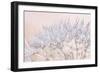 Dandelion Dew II-Cora Niele-Framed Premium Photographic Print