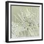 Dandelion Dew III-Cora Niele-Framed Photographic Print