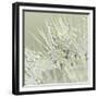 Dandelion Dew III-Cora Niele-Framed Photographic Print