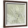 Dandelion Dew III-Cora Niele-Framed Photographic Print