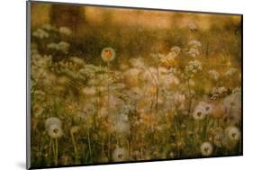 Dandelion Dreams-Delphine Devos-Mounted Photographic Print