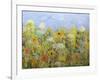 Dandelion Dust-Allan Friedlander-Framed Art Print