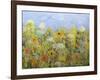 Dandelion Dust-Allan Friedlander-Framed Art Print