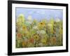 Dandelion Dust-Allan Friedlander-Framed Art Print