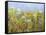 Dandelion Dust-Allan Friedlander-Framed Stretched Canvas