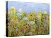 Dandelion Dust-Allan Friedlander-Stretched Canvas
