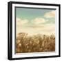 Dandelion Field-Anna Polanski-Framed Art Print