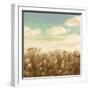 Dandelion Field-Anna Polanski-Framed Art Print