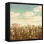 Dandelion Field-Anna Polanski-Framed Stretched Canvas