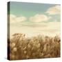 Dandelion Field-Anna Polanski-Stretched Canvas