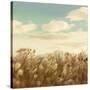 Dandelion Field-Anna Polanski-Stretched Canvas