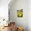 Dandelion Flowers on Roaside Verge-null-Mounted Photographic Print displayed on a wall