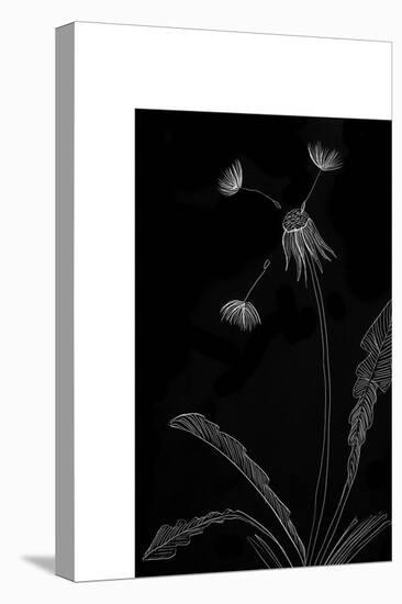 Dandelion Garden I-Alicia Ludwig-Stretched Canvas