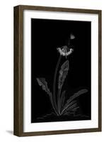 Dandelion Garden II-Alicia Ludwig-Framed Art Print