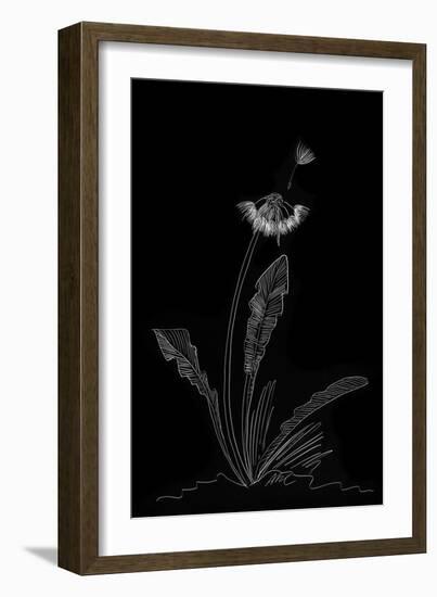 Dandelion Garden II-Alicia Ludwig-Framed Art Print