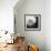 Dandelion Haze B+W-Andreas Stridsberg-Framed Giclee Print displayed on a wall