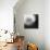 Dandelion Haze B+W-Andreas Stridsberg-Giclee Print displayed on a wall