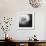 Dandelion Haze B+W-Andreas Stridsberg-Framed Giclee Print displayed on a wall