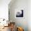 Dandelion Haze-Andreas Stridsberg-Framed Giclee Print displayed on a wall