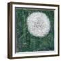 Dandelion Head-Ruth Addinall-Framed Giclee Print