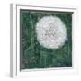 Dandelion Head-Ruth Addinall-Framed Giclee Print