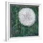 Dandelion Head-Ruth Addinall-Framed Giclee Print