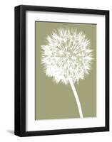 Dandelion (khaki)-Jenny Kraft-Framed Giclee Print