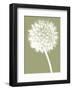 Dandelion (khaki)-Jenny Kraft-Framed Art Print