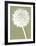 Dandelion (khaki)-Jenny Kraft-Framed Art Print