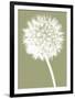 Dandelion (khaki)-Jenny Kraft-Framed Art Print