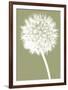 Dandelion (khaki)-Jenny Kraft-Framed Art Print