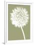 Dandelion (khaki)-Jenny Kraft-Framed Art Print