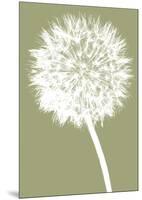 Dandelion (khaki)-Jenny Kraft-Mounted Art Print