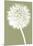 Dandelion (khaki)-Jenny Kraft-Mounted Art Print