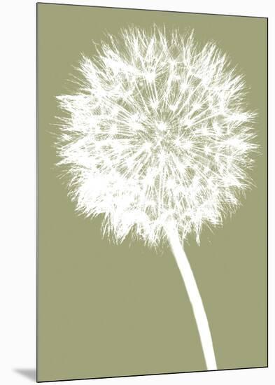 Dandelion (khaki)-Jenny Kraft-Mounted Art Print