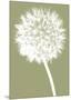 Dandelion (khaki)-Jenny Kraft-Mounted Art Print