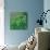 Dandelion Nap-Mindy Sommers-Mounted Giclee Print displayed on a wall