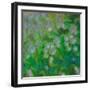 Dandelion Nap-Mindy Sommers-Framed Giclee Print