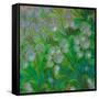 Dandelion Nap-Mindy Sommers-Framed Stretched Canvas