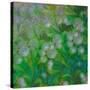 Dandelion Nap-Mindy Sommers-Stretched Canvas