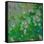 Dandelion Nap-Mindy Sommers-Framed Stretched Canvas