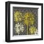 Dandelion on Circles Linked-Susan Clickner-Framed Giclee Print