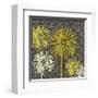 Dandelion on Circles Linked-Susan Clickner-Framed Giclee Print