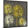 Dandelion on Circles Linked-Susan Clickner-Mounted Giclee Print