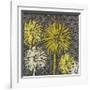 Dandelion on Circles Linked-Susan Clickner-Framed Giclee Print