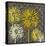 Dandelion on Circles Linked-Susan Clickner-Stretched Canvas